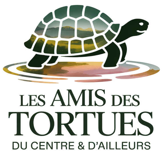 Les Amis des Tortues du Centre & d’Ailleurs